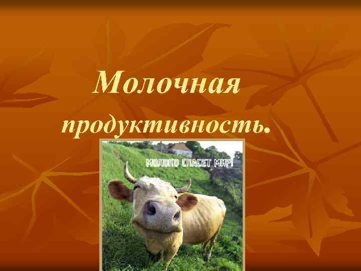 Молочная продуктивность. 