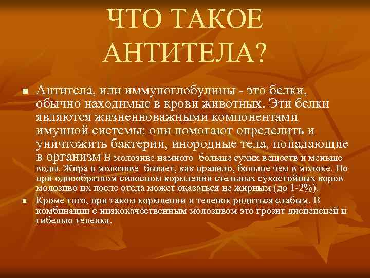 ЧТО ТАКОЕ АНТИТЕЛА? n n Антитела, или иммуноглобулины - это белки, обычно находимые в