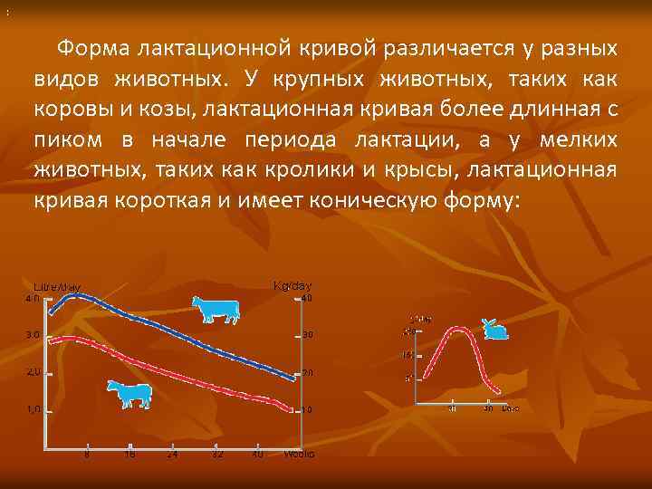 : Форма лактационной кривой различается у разных видов животных. У крупных животных, таких как