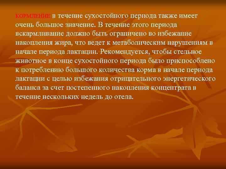 в течение сухостойного периода также имеет очень большое значение. В течение этого периода вскармливание