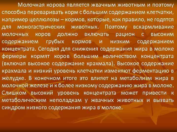 Молочная корова является жвачным животным и поэтому способна переваривать корм с большим содержанием клетчатки,