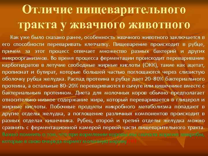 Отличие пищеварительного тракта у жвачного животного Как уже было сказано ранее, особенность жвачного животного