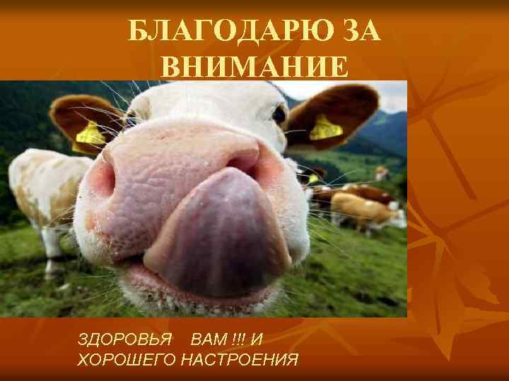 БЛАГОДАРЮ ЗА ВНИМАНИЕ БУДЬТЕ ЗДОРОВЫ !!! ЗДОРОВЬЯ ВАМ !!! И ХОРОШЕГО НАСТРОЕНИЯ 