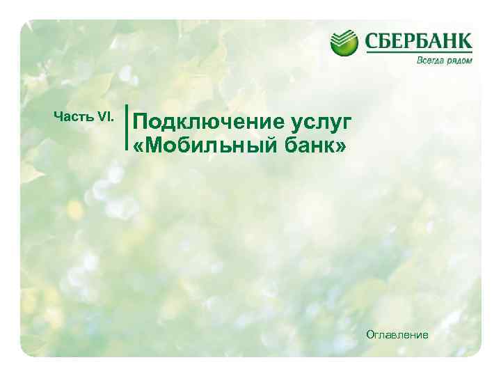 Часть VI. Подключение услуг «Мобильный банк» Оглавление 18 
