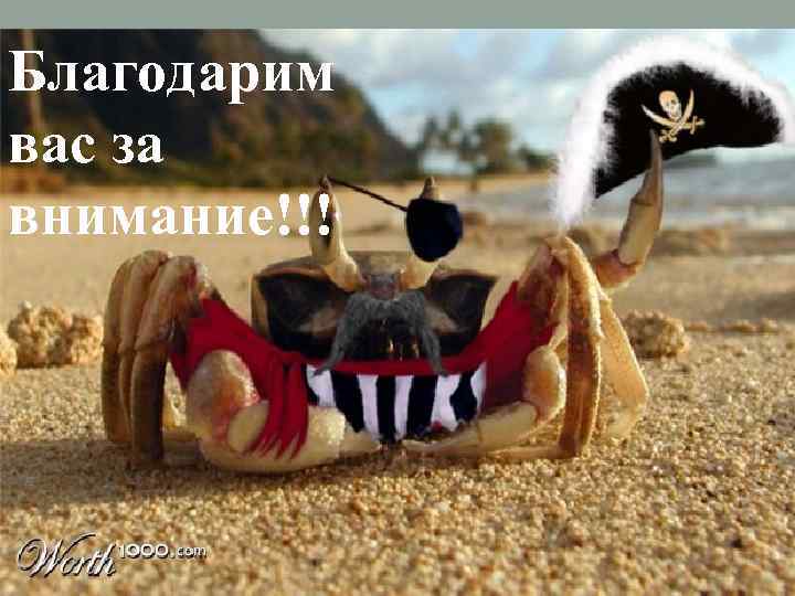 Благодарим вас за внимание!!! 