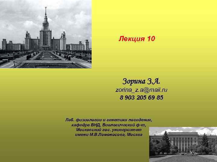 Лекция 10 Зорина З. А. zorina_z. a@mail. ru 8 903 205 69 85 Лаб.