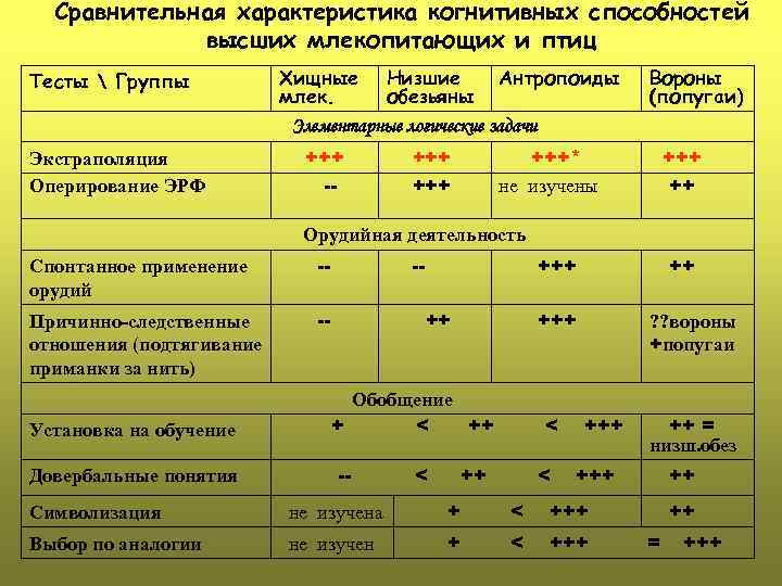 Сравнительная характеристика немецкой и русской кухни