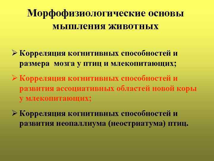Морфофизиологические основы мышления животных Ø Корреляция когнитивных способностей и размера мозга у птиц и