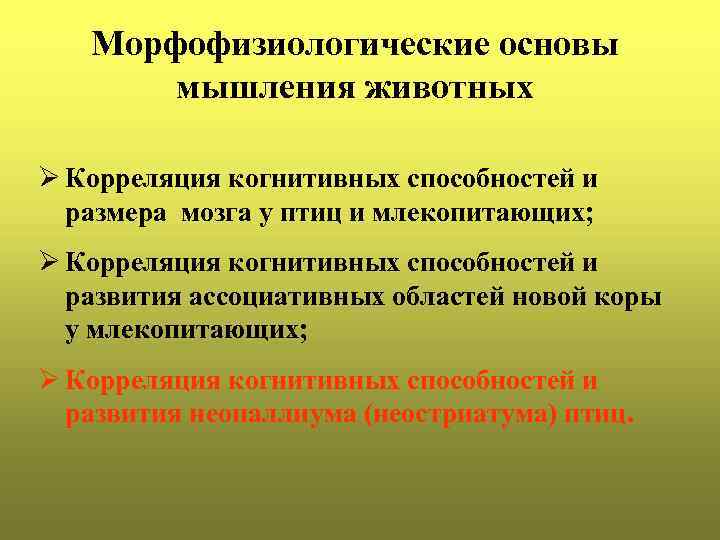 Морфофизиологические основы мышления животных Ø Корреляция когнитивных способностей и размера мозга у птиц и