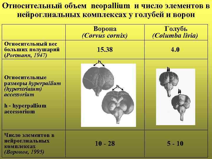 Относительный объем