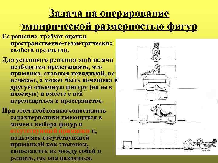 Задача на оперирование эмпирической размерностью фигур Ее решение требует оценки пространственно-геометрических свойств предметов. Для