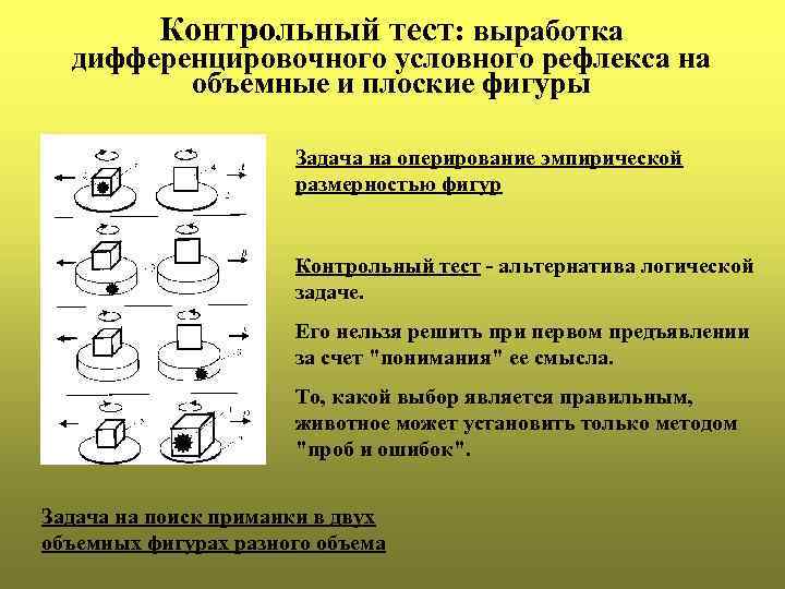 Контрольный тест: выработка дифференцировочного условного рефлекса на объемные и плоские фигуры Задача на оперирование