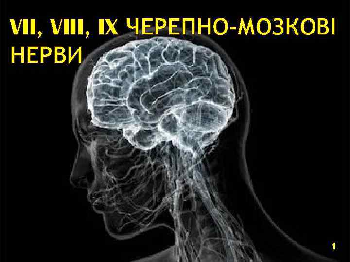 VII, VIII, IX ЧЕРЕПНО-МОЗКОВІ НЕРВИ 1 