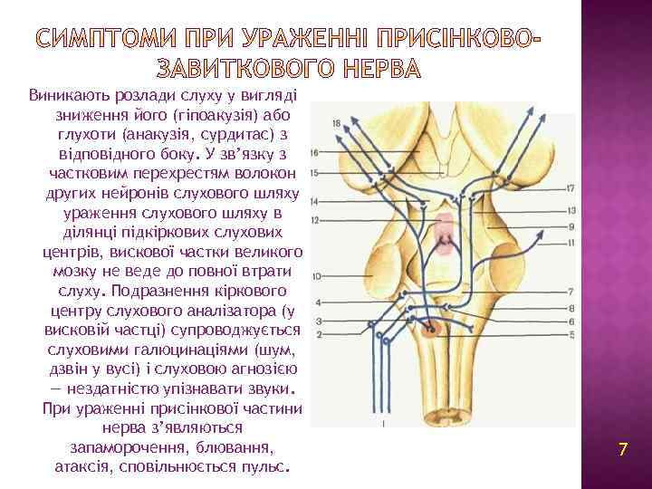 Виникають розлади слуху у вигляді зниження його (гіпоакузія) або глухоти (анакузія, сурдитас) з відповідного