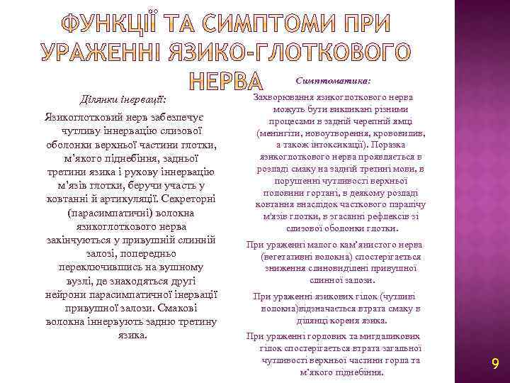 Симптоматика: Ділянки інервації: Язикоглотковий нерв забезпечує чутливу іннервацію слизової оболонки верхньої частини глотки, м’якого