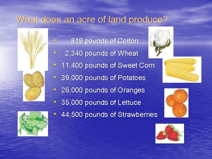 What does an acre of land produce? • • 819 pounds of Cotton 2,