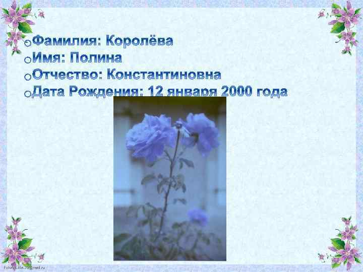  Fokina. Lida. 75@mail. ru 