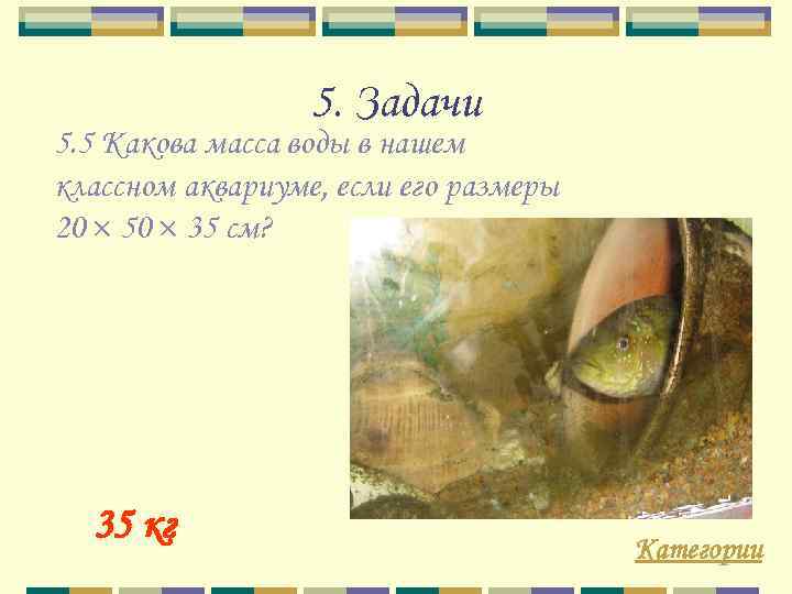5. Задачи 5. 5 Какова масса воды в нашем классном аквариуме, если его размеры
