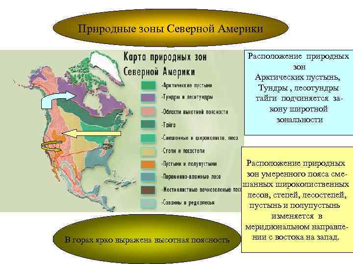 Природные зоны Северной Америки Расположение природных зон Арктических пустынь, Тундры , лесотундры тайги подчиняется