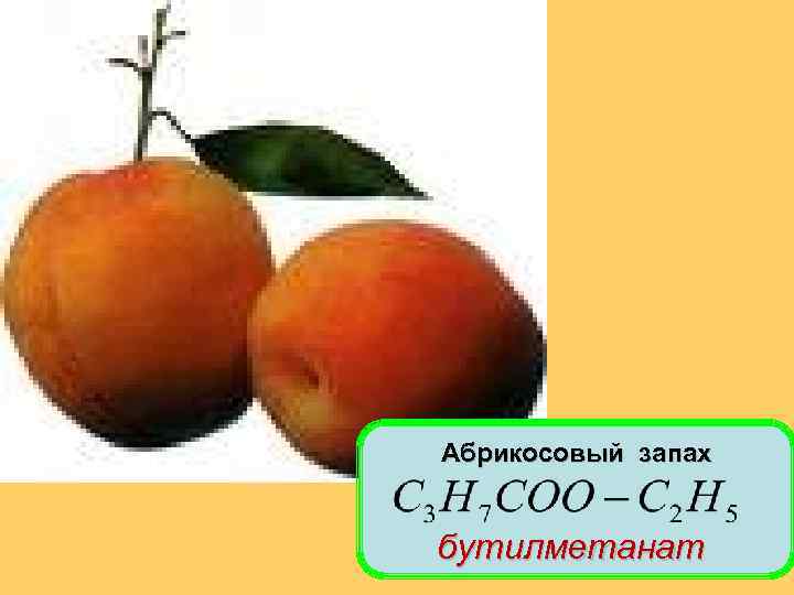 Абрикосовый запах бутилметанат 