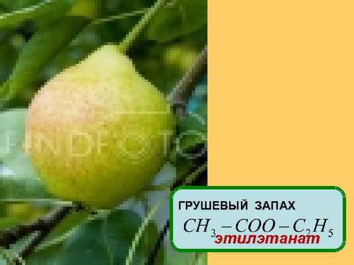 ГРУШЕВЫЙ ЗАПАХ этилэтанат 
