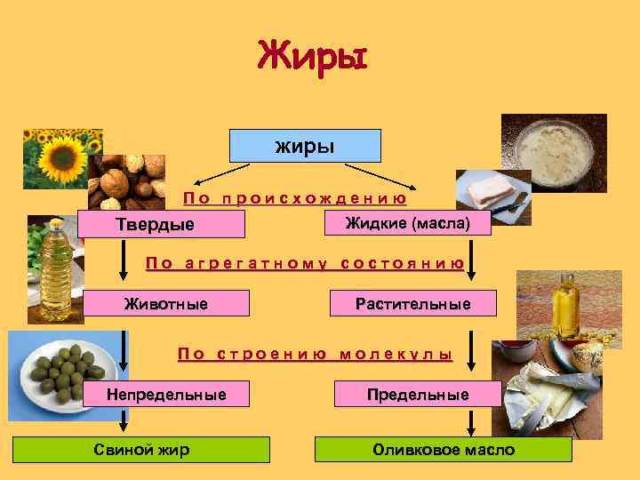 Жиры жиры П о п р о и с х о ж д е