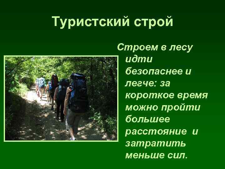 Туристский строй Строем в лесу идти безопаснее и легче: за короткое время можно пройти