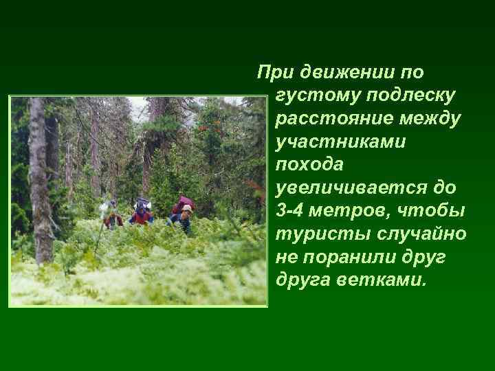 При движении по густому подлеску расстояние между участниками похода увеличивается до 3 -4 метров,