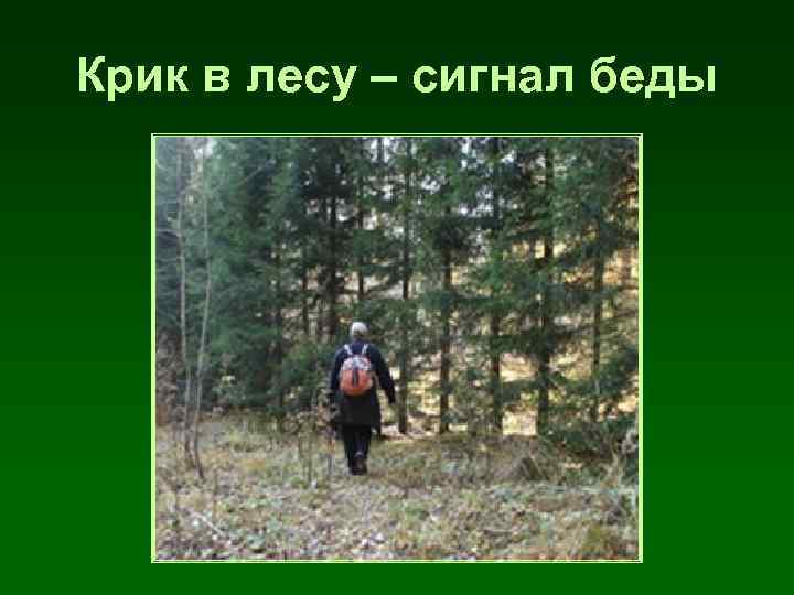 Крик в лесу – сигнал беды 