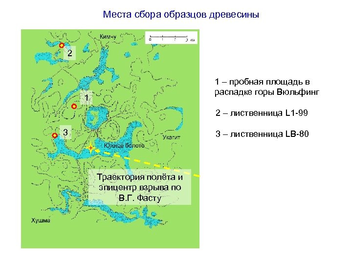 Места сбора образцов древесины 2 1 – пробная площадь в распадке горы Вюльфинг 1