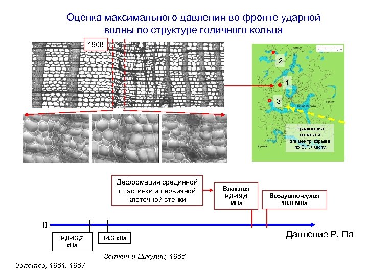 Оценка максимального давления во фронте ударной волны по структуре годичного кольца 1908 2 1