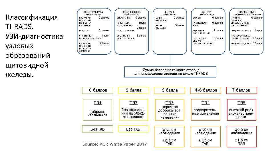 Классификация TI-RADS. УЗИ-диагностика узловых образований щитовидной железы. ACR TIRADS 