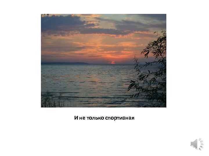 И не только спортивная 