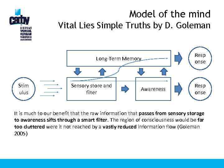 Model of the mind Vital Lies Simple Truths by D. Goleman Long-Term Memory Stim