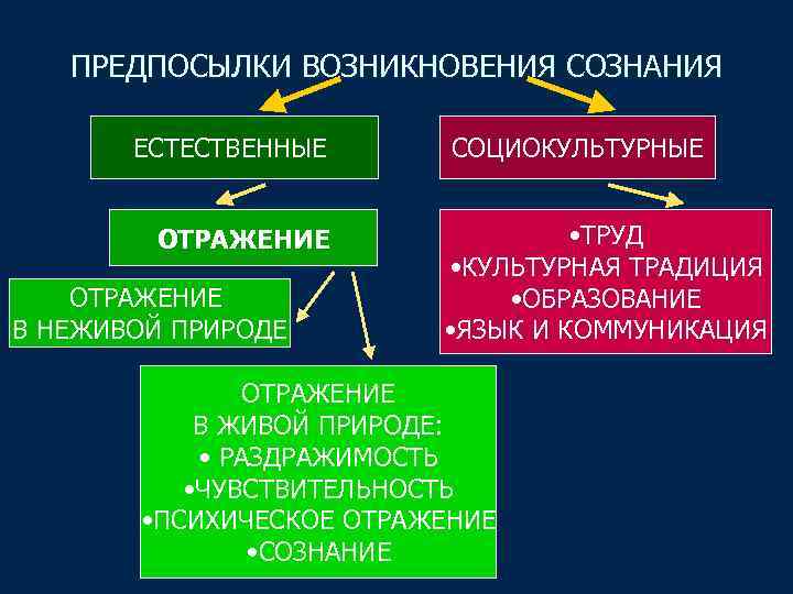 ПРЕДПОСЫЛКИ ВОЗНИКНОВЕНИЯ СОЗНАНИЯ ЕСТЕСТВЕННЫЕ ОТРАЖЕНИЕ В НЕЖИВОЙ ПРИРОДЕ СОЦИОКУЛЬТУРНЫЕ • ТРУД • КУЛЬТУРНАЯ ТРАДИЦИЯ