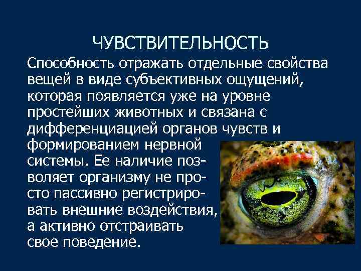 ЧУВСТВИТЕЛЬНОСТЬ Способность отражать отдельные свойства вещей в виде субъективных ощущений, которая появляется уже на