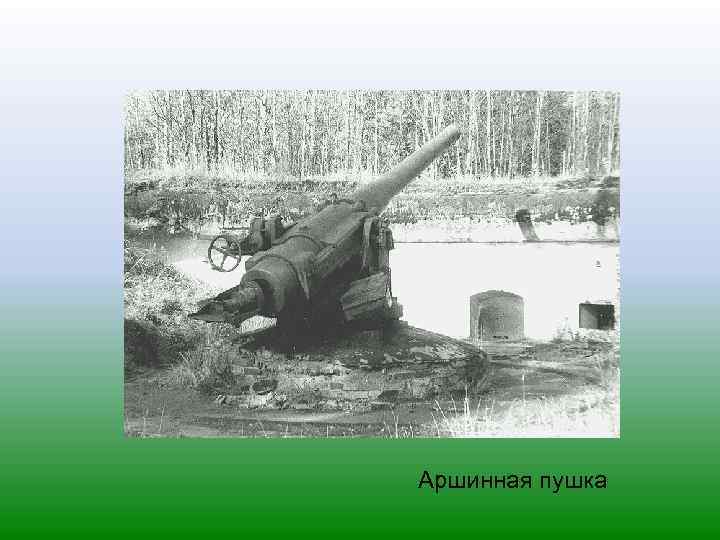 Аршинная пушка 