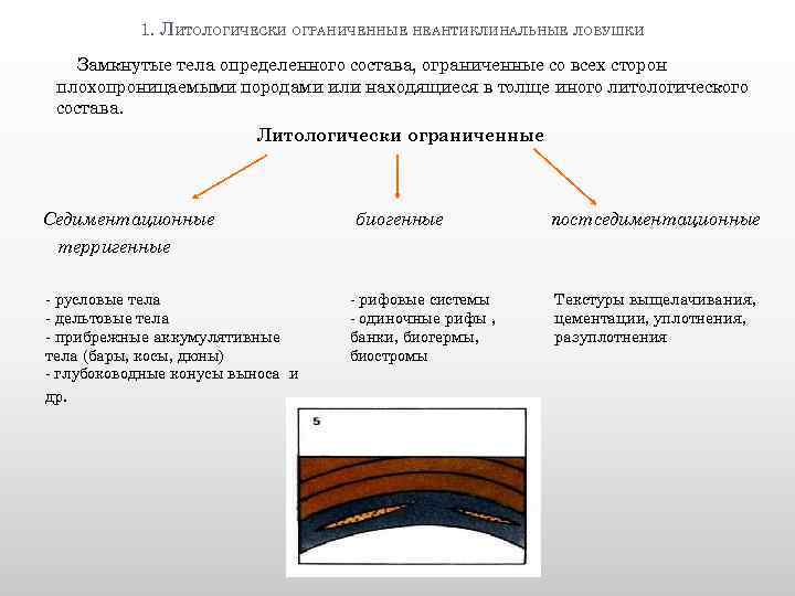 1. ЛИТОЛОГИЧЕСКИ ОГРАНИЧЕННЫЕ НЕАНТИКЛИНАЛЬНЫЕ ЛОВУШКИ Замкнутые тела определенного состава, ограниченные со всех сторон плохопроницаемыми