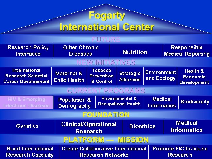 Fogarty International Center FUTURE Research-Policy Interfaces Other Chronic Diseases Responsible Medical Reporting Nutrition NEW