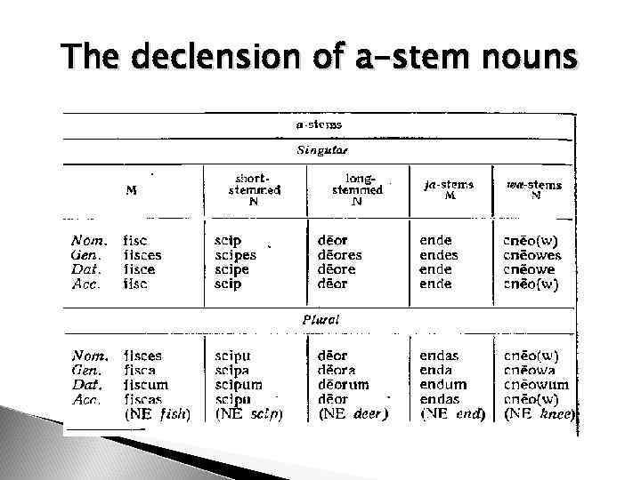 The declension of a-stem nouns 