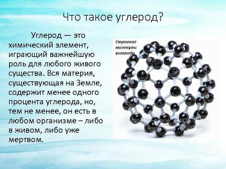 Что такое углерод? Углерод — это химический элемент, играющий важнейшую роль для любого живого
