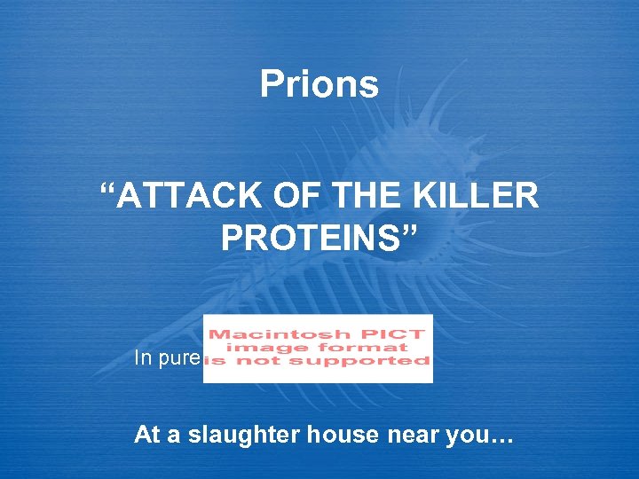 Prions “ATTACK OF THE KILLER PROTEINS” In pure At a slaughter house near you…
