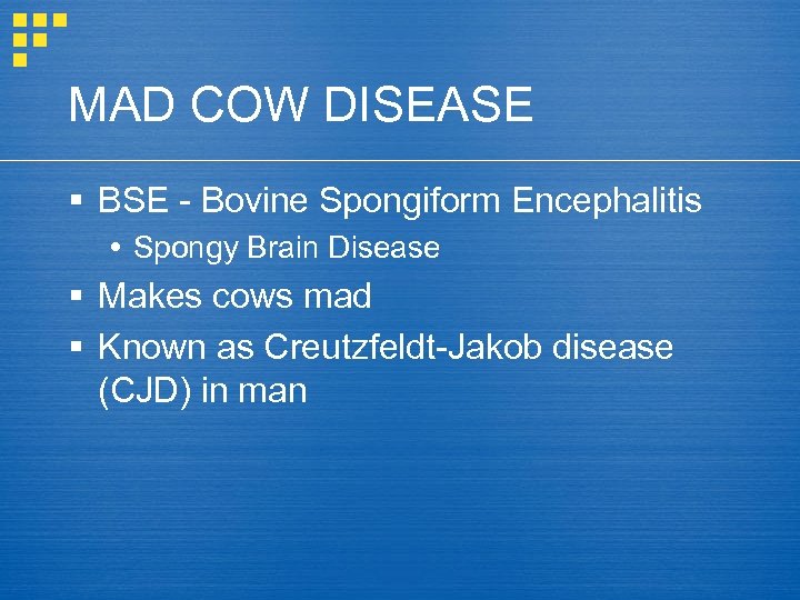 MAD COW DISEASE § BSE - Bovine Spongiform Encephalitis Spongy Brain Disease § Makes