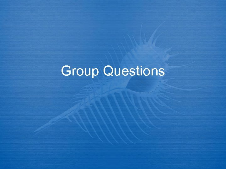 Group Questions 