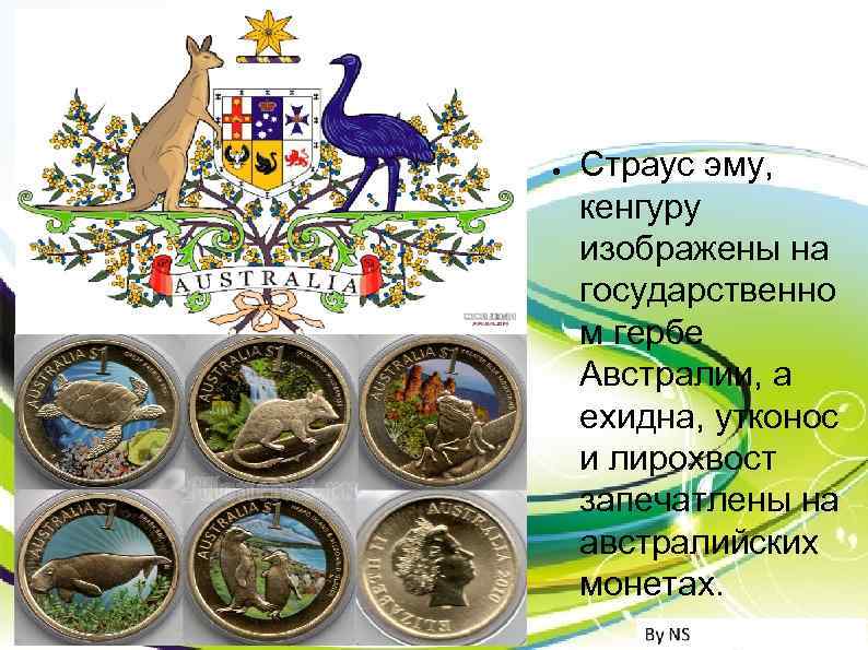 ● Страус эму, кенгуру изображены на государственно м гербе Австралии, а ехидна, утконос и