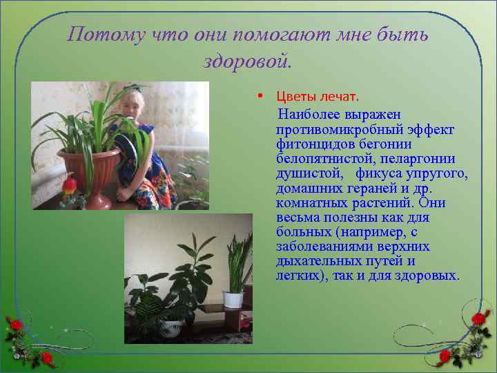 Потому что они помогают мне быть здоровой. • Цветы лечат. Наиболее выражен противомикробный эффект