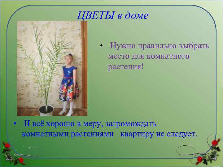 ЦВЕТЫ в доме • Нужно правильно выбрать место для комнатного растения! • И всё