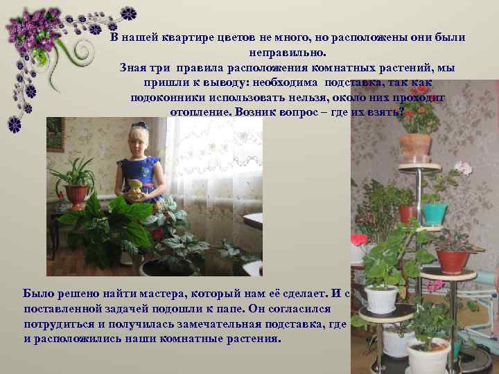 В нашей квартире цветов не много, но расположены они были неправильно. Зная три правила