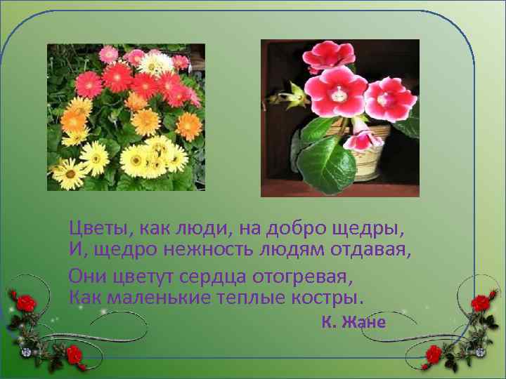 Цветы, как люди, на добро щедры, И, щедро нежность людям отдавая, Они цветут сердца