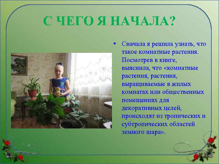 С ЧЕГО Я НАЧАЛА? • Сначала я решила узнать, что такое комнатные растения. Посмотрев